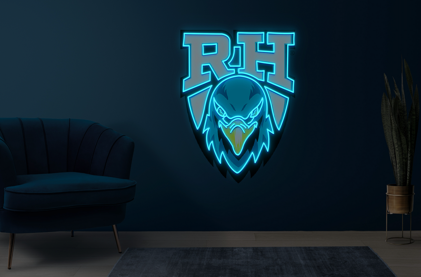 ROCK HILL BLUE HAWKS